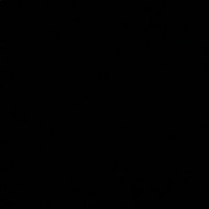 Meet your Posher, Bailey